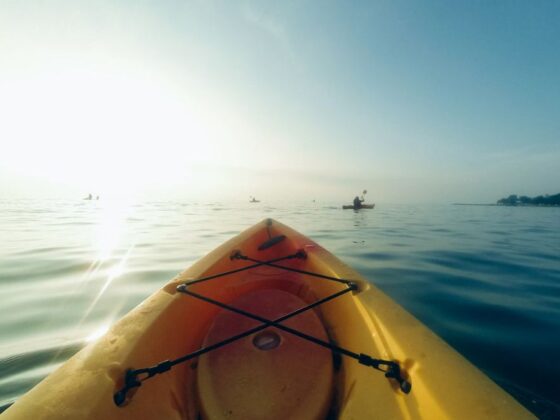 The Best Places to Kayak with Orcas