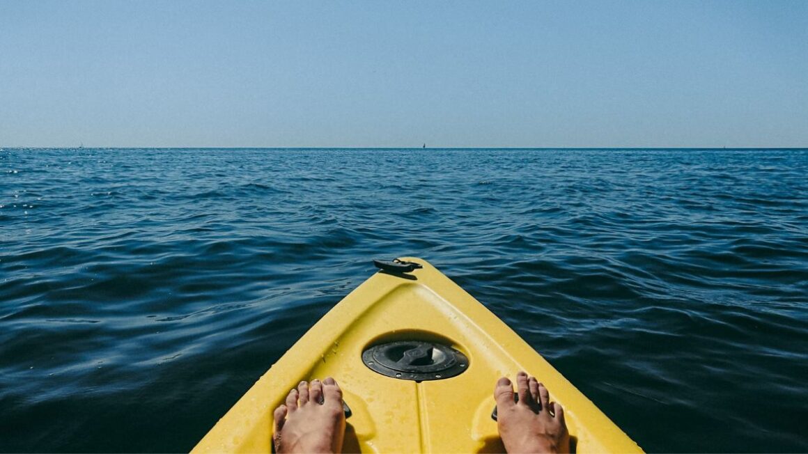 kayak with orca whales