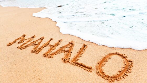 The Meaning of Mahalo: Unveiling the Significance Behind the Hawaiian Expression