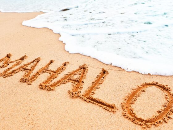 The Meaning of Mahalo: Unveiling the Significance Behind the Hawaiian Expression