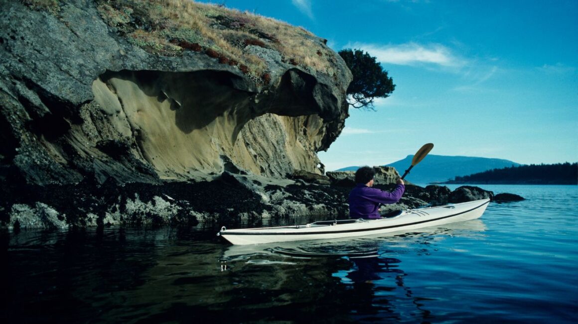 The Ultimate Guide to Kayaking with Orcas in the San Juan Islands