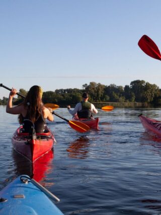 Kayaking With Whales: Washington Tour