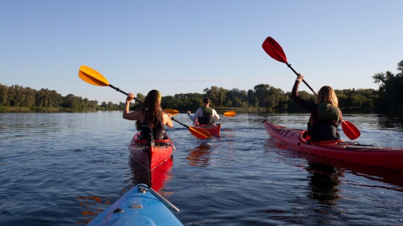 Kayaking With Whales: Washington Tour